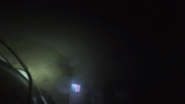 3.gif